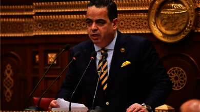 النائب عصام هلال وكيل اللجنة الدستورية والتشريعية بمجلس الشيوخ