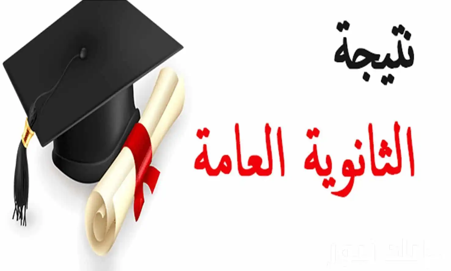 حزب حماة الوطن