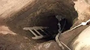 الأهلي