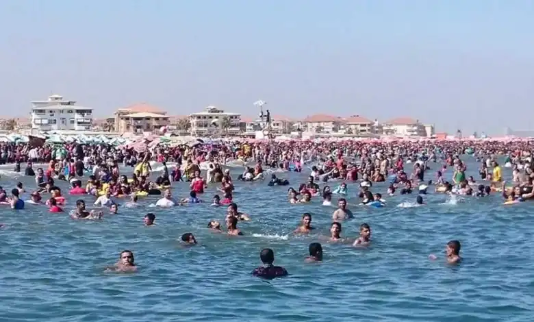 متهمين بسرقة أسلاك كهربائية من عقار