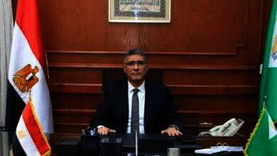 المهندس عادل النجار محافظ الجيزة