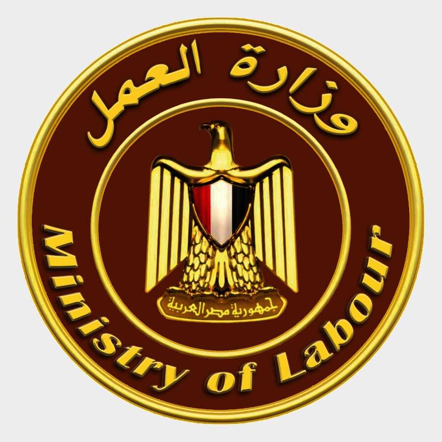وزارة العمل