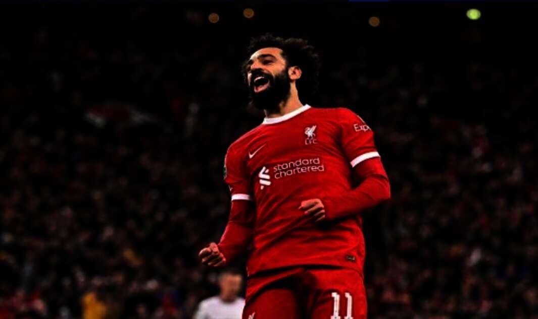 IMG ٢٠٢٤٠٨١٦ ١٥٣٥١٧