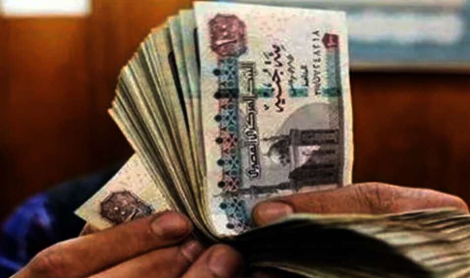 IMG ٢٠٢٤٠٨١٧ ١٢٥٤٣٨
