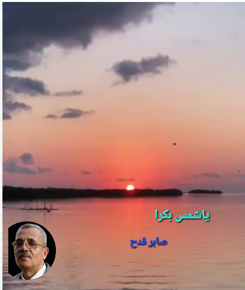 Screenshot ٢٠٢٤٠٨٣١ ١٦٠٨٥٠ Google