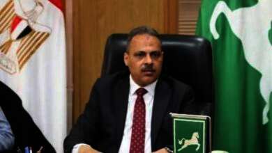 المهندس حازم الأشمونى محافظ الشرقية