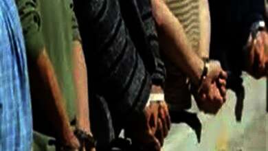 عصابة خطف متعلقات المواطنين