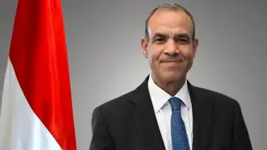 المهندس عادل النجار محافظ الجيزة