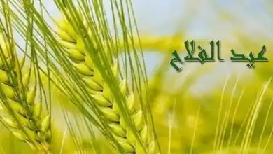 مبادرة بداية
