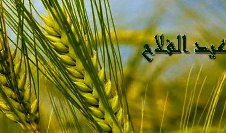 دور الفلاحين المصريين عبر التاريخ في بناء الوطن ودعم الاقتصاد الوطني