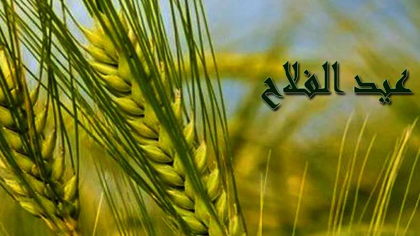 دور الفلاحين المصريين عبر التاريخ في بناء الوطن ودعم الاقتصاد الوطني
