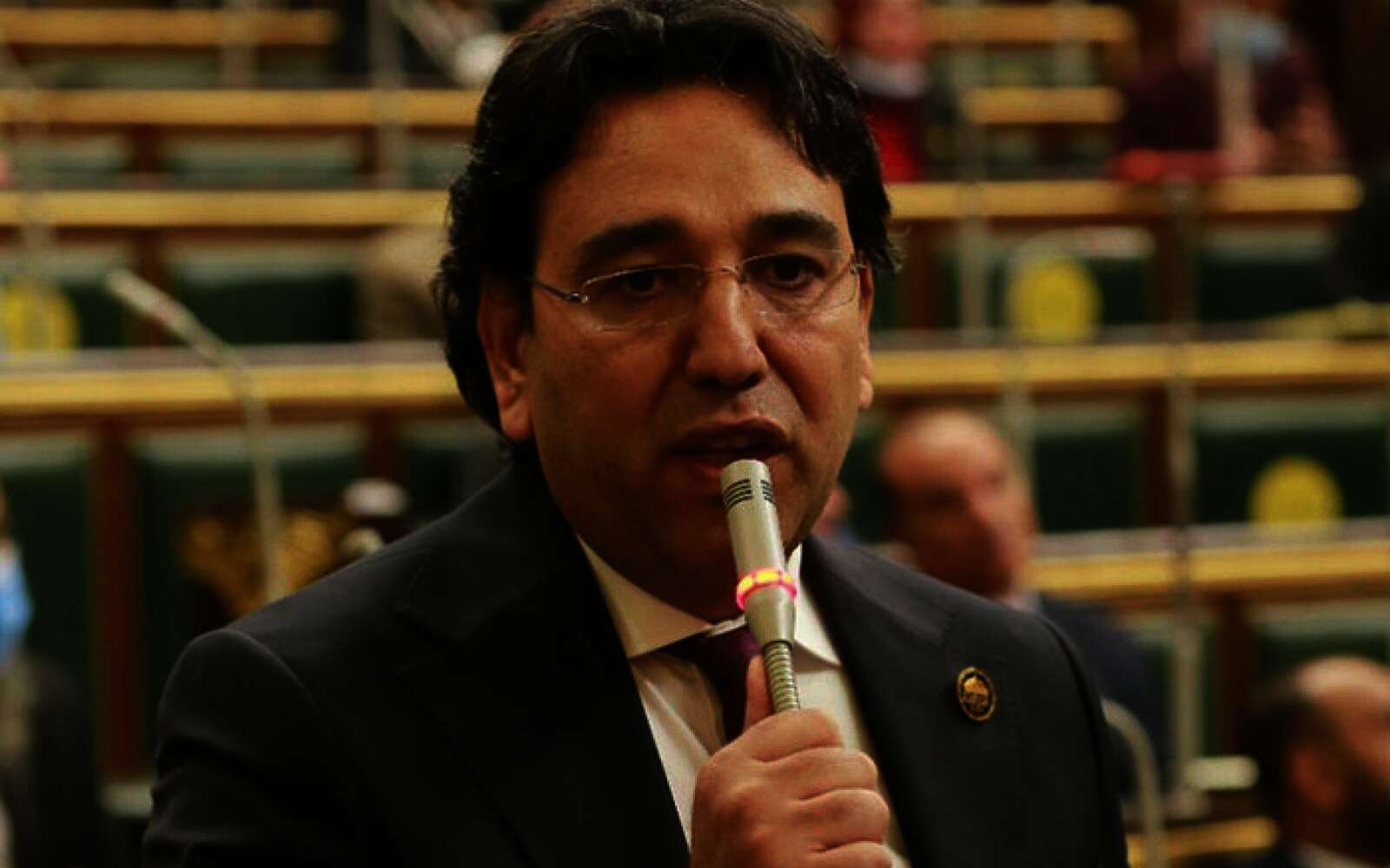 الدكتور أيمن محسب، عضو مجلس النواب
