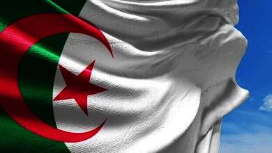الجزائر