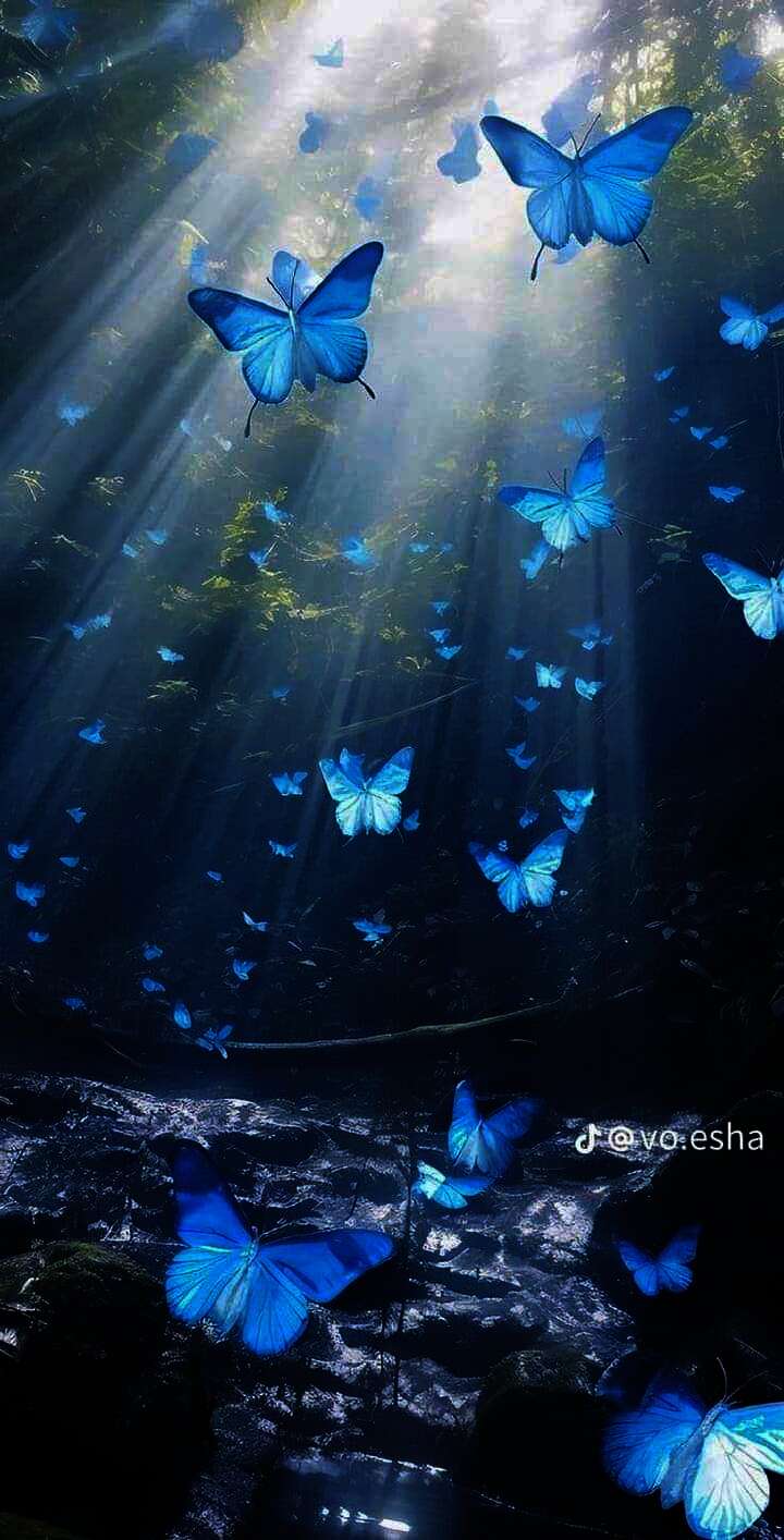 received 535035762449650