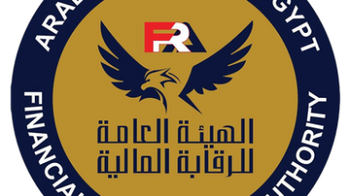 الرقابة المالية