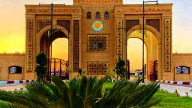  جامعة الوادى الجديد