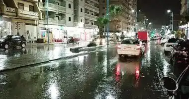 وائل رياض