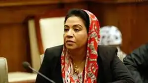 أبو الغيط
