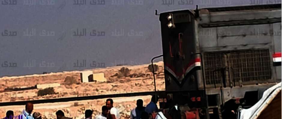 IMG ٢٠٢٤١٠٠٨ ٢١٥٢١٦