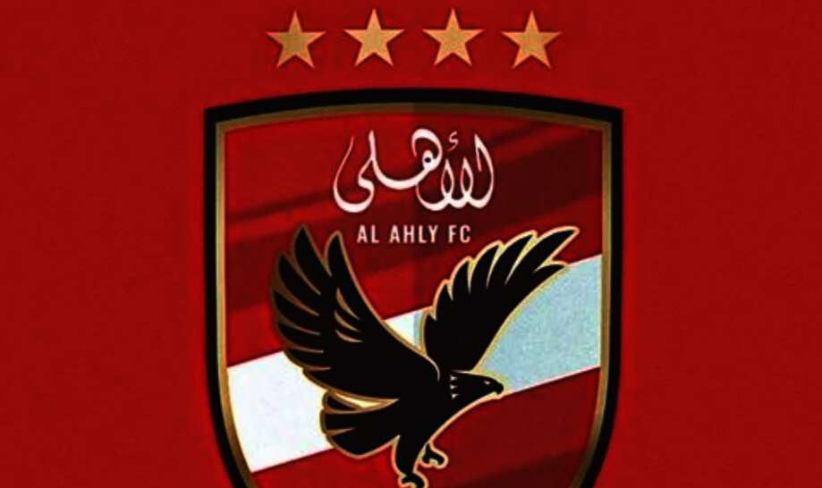 IMG ٢٠٢٤١٠١٣ ١١٣٦٢٧