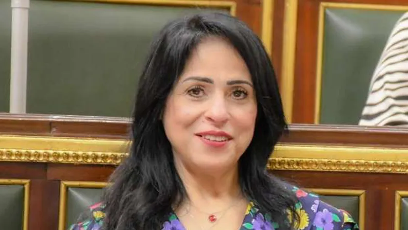 التحالف الوطني للعمل الاهلى التنموى