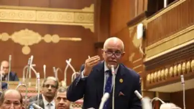 محمد شمروخ، الرئيس التنفيذي للجهاز القومي لتنظيم الاتصالات