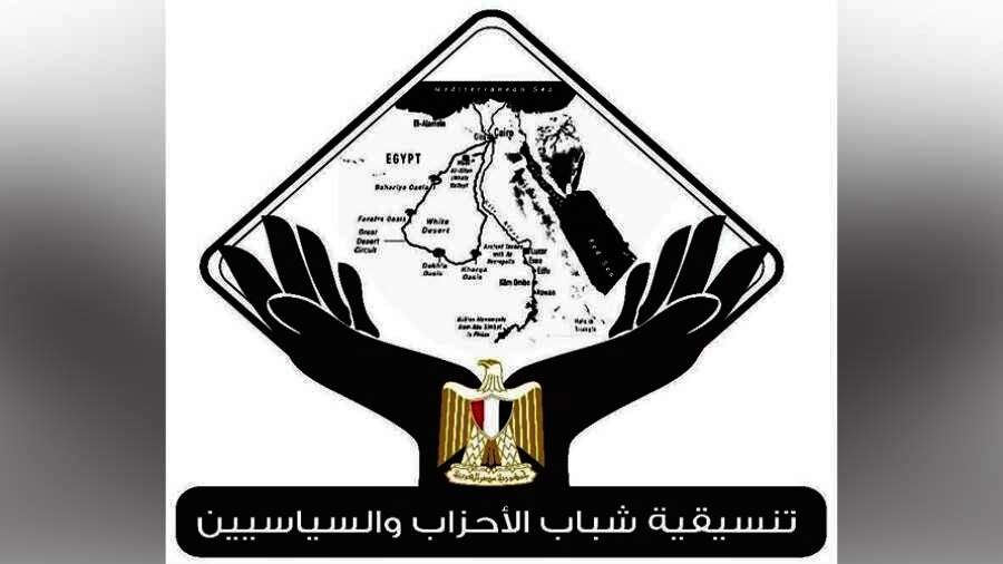 أعضاء تنسيقية شباب الأحزاب والسياسيين
