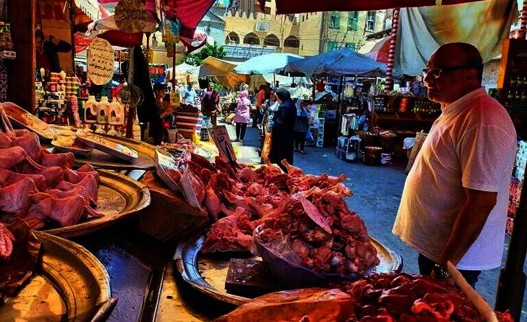 تموين الإسكندرية