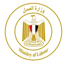 أحمد كجوك وزير المالية