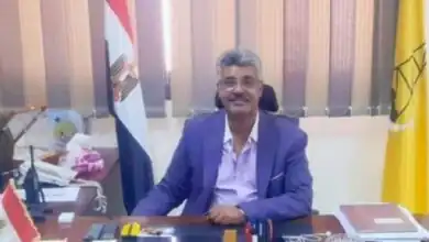 الرئيس السيسى