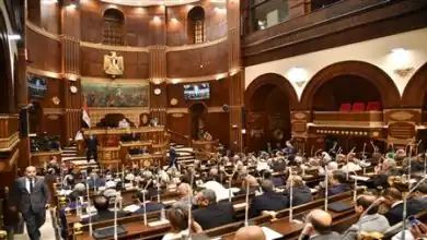 المطربة أنغام و المايسترو هاني فرحات