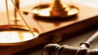 محاكمة عنصر إرهابى فى "خلية الذئاب المنفردة"