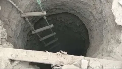عصابة التنقيب عن الآثار
