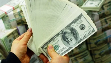 متهم بالاستيلاء على 300 مليون جنيه