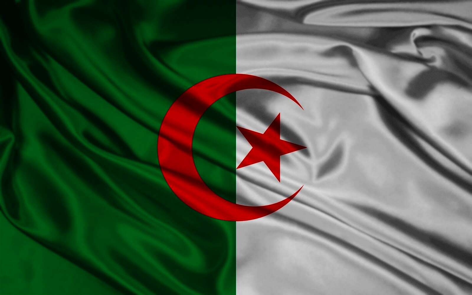 الجزائر