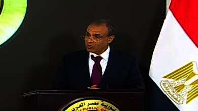بدر عبد العاطي، وزير الخارجية والهجرة وشئون المصريين بالخارج