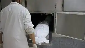 الدكتور محمد عبد المجيد، نائب رئيس كتلة الحوار