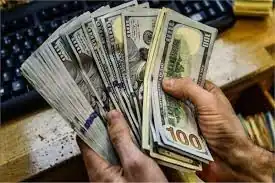 النائب حسين خضير رئيس لجنة الصحة والسكان بمجلس الشيوخ