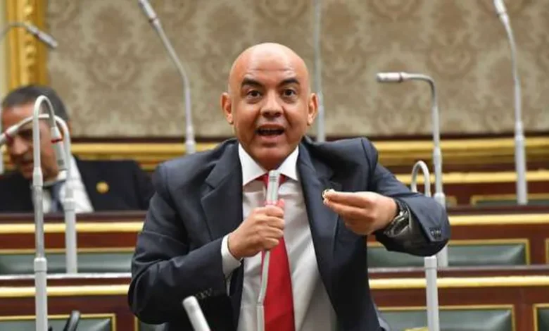 النائب عمرو هندي، عضو مجلس النواب