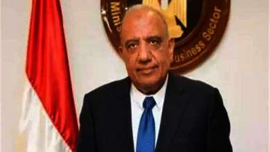 الدكتور محمود عصمت، وزير الكهرباء والطاقة المتجددة