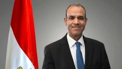د. بدر عبد العاطي وزير الخارجية والهجرة