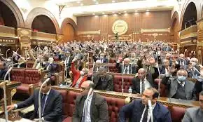 النائب أحمد سمير زكريا، عضو الشئون المالية والاقتصادية والاستثمار بمجلس الشيوخ