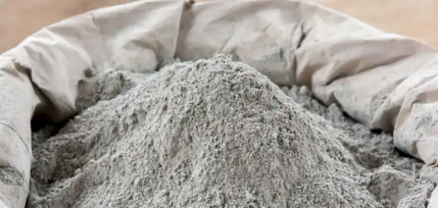 الرقابة المالية