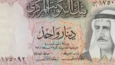 الريال السعودى