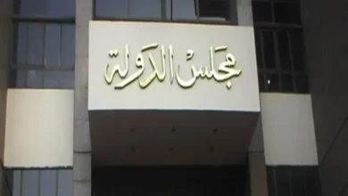 مجلس الدولة