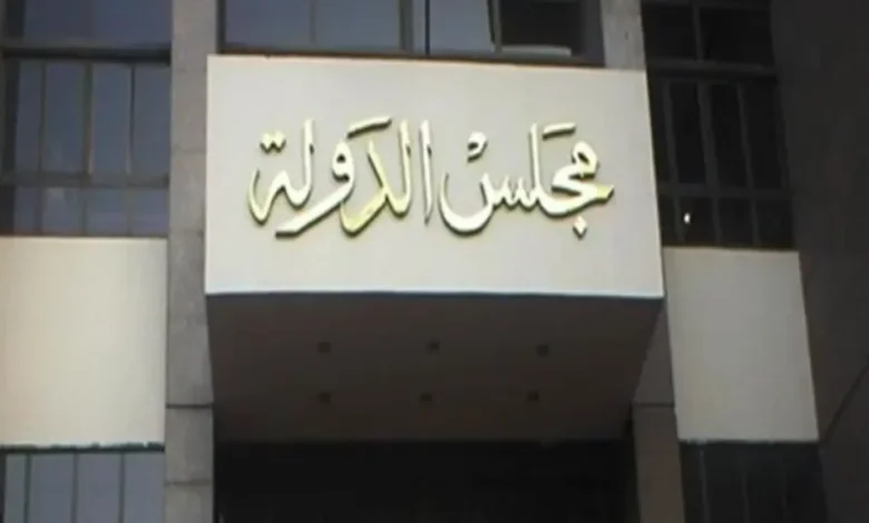 مجلس الدولة