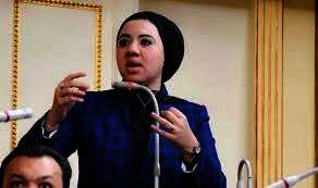 النائبة أميرة صابر عضو مجلس النواب