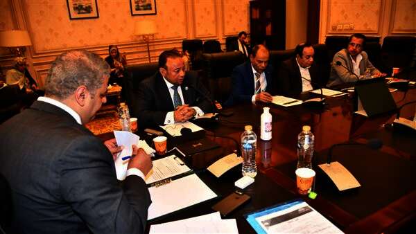 برلماني يتقدم بطلب إحاطة بشأن توقف أعمال تجديد قصر ثقافة سوهاج
