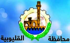 محافظة القليوبية