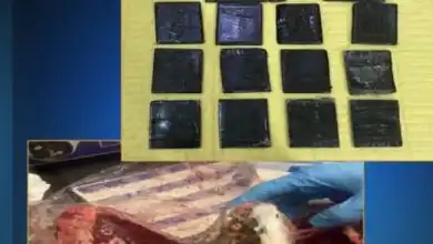 حبس متهم بغسل 150 مليون جنيه من تجارة البتكوين